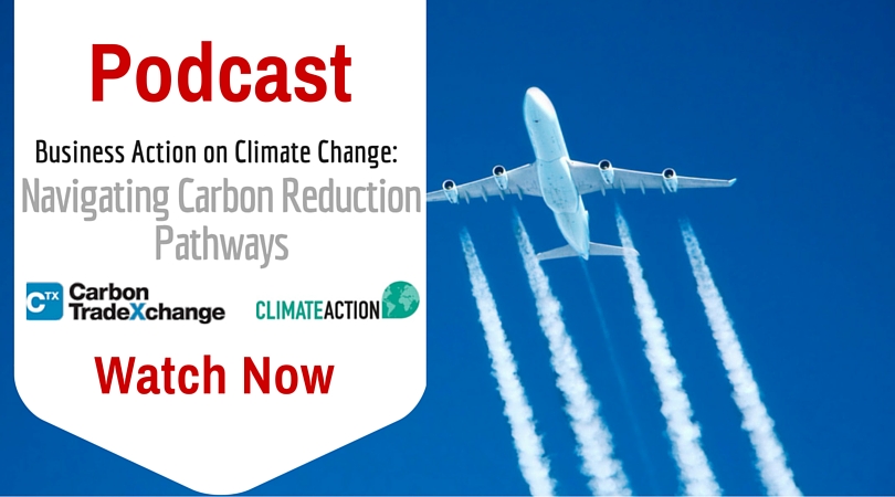 Business Action on Climate Change: Navigating Carbon Reduction Pathways