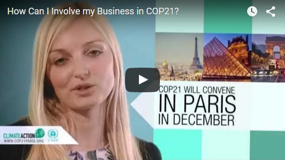 How Can Business Engage at COP21?